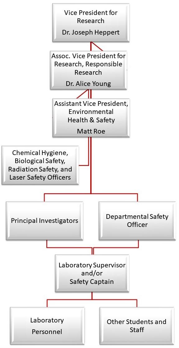 Laser Safety Chart