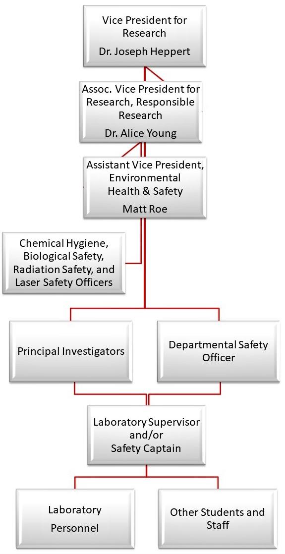 Environmental Health And Safety Organizational Chart