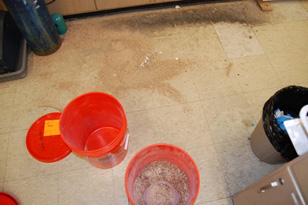 Area on floor in front of fume hood where dry materials were being collected in 5 gal bucket.