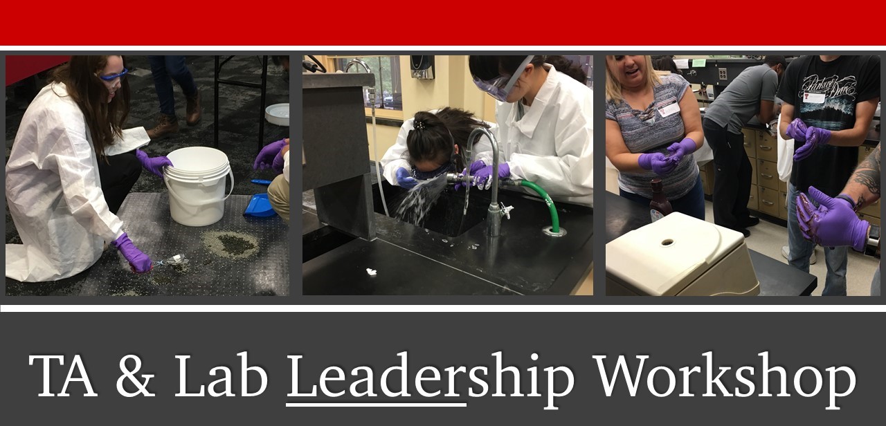 TA & lab leadership workshop