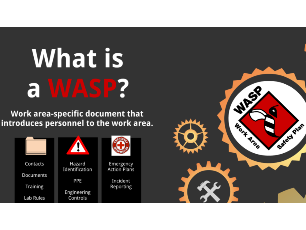 WASP workshop slide