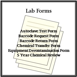 lab forms