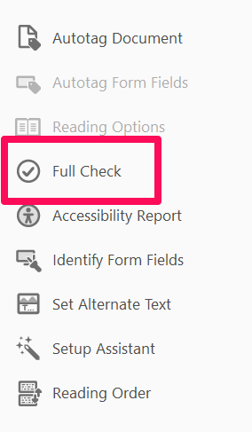 Accessibility tool right-hand pane with box around Full Check button