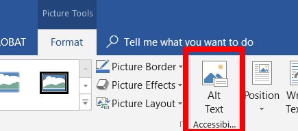 Format Tab in Picture Tools in Microsoft Word with a box around the Alt Text button