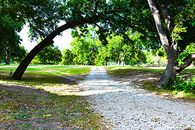 A gravel trail extends from the foreground into the background while passing grass and overhead tree branches.trees