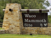 Waco Mammoth