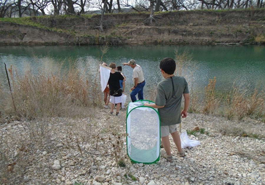 Trent ISD students search for butterflies by the Llano River.