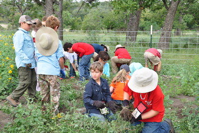 Students, both standing and kneeling, examining plants in an exclosure