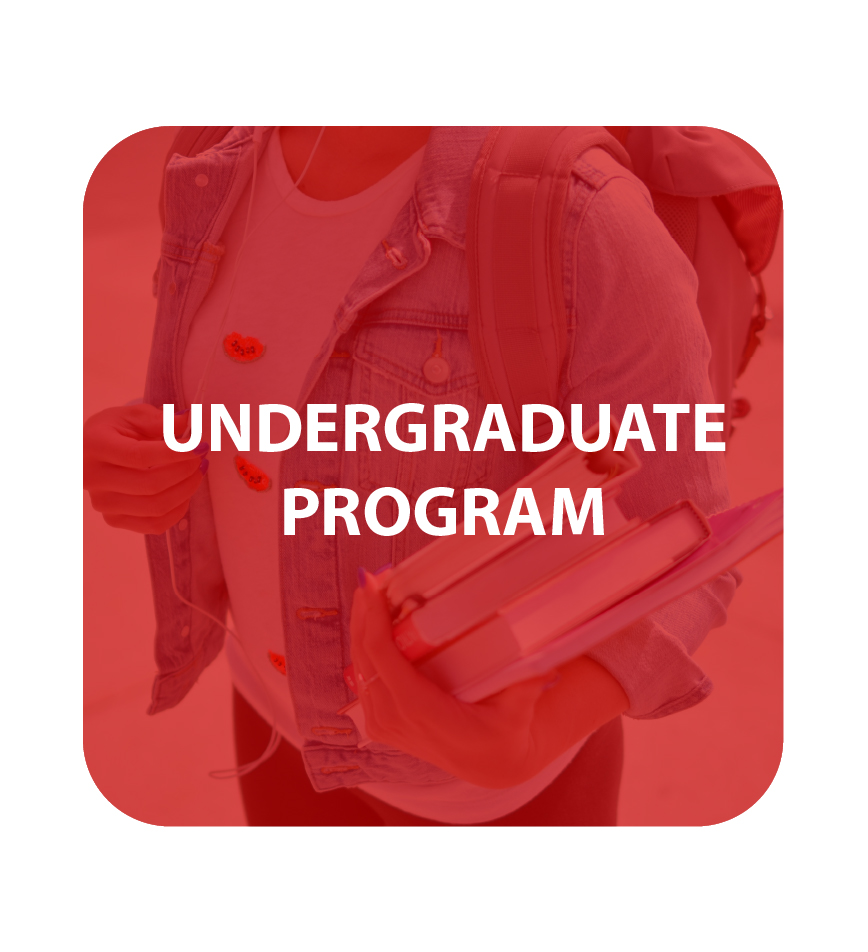 Undergraduate Program Button