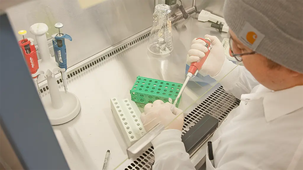 Gradate student in environmental toxicology lab