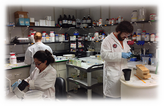 Environmental Toxicology
