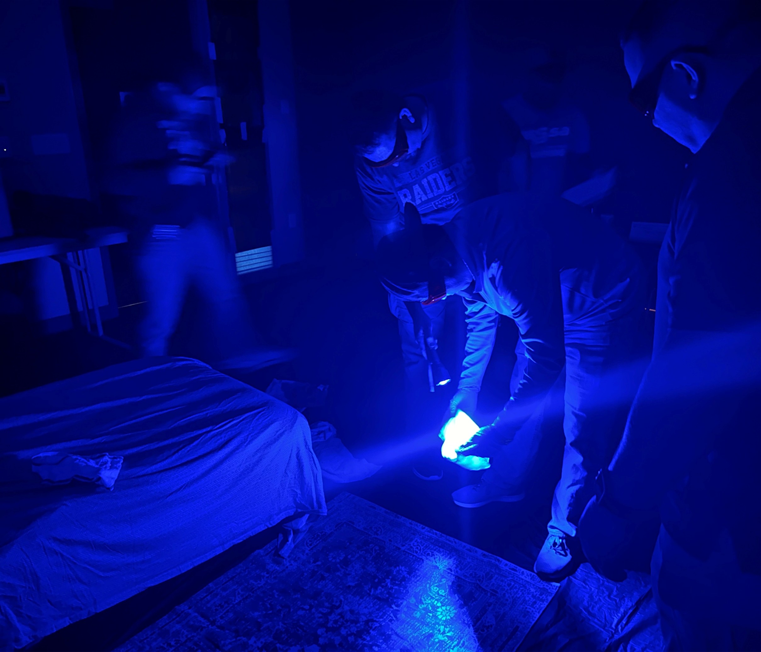 Forensic Professionals