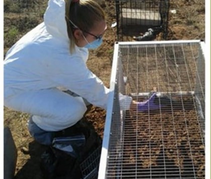 Forensics field Forensics Field