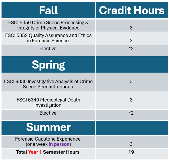 Forensic Professional Timeline Year 1