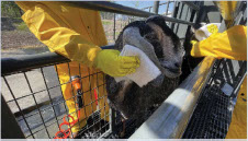 Texas Tech University Department of Environmental Toxicology, 2-3-23_Jan_Halamek_News