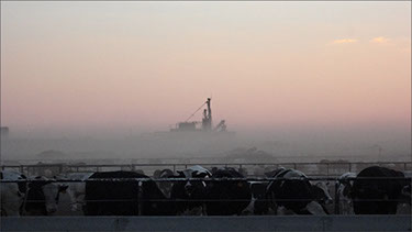 Texas Tech University Department of Environmental Toxicology, Ecotoxicology-and-Risk-Assessment