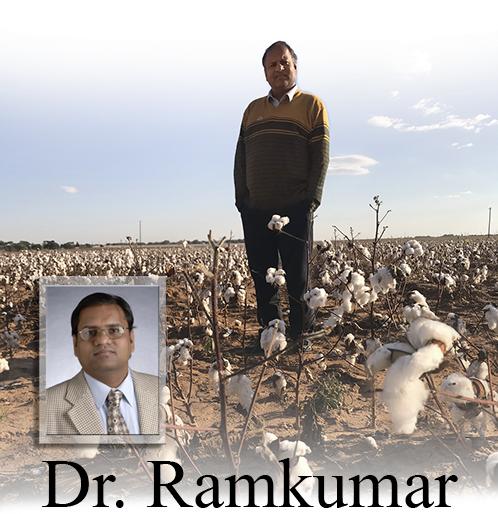 Ramkumar in Cotton field