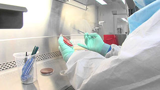 Texas Tech University Department of Environmental Toxicology, Covid Testing
