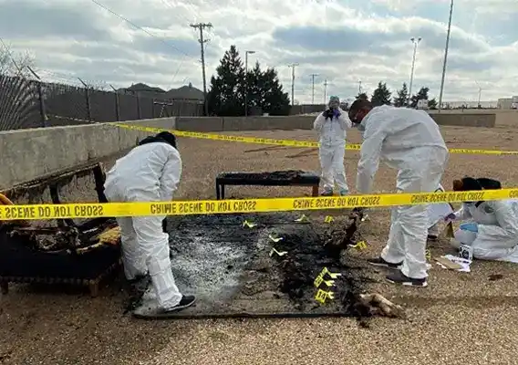 Forensic Investigation