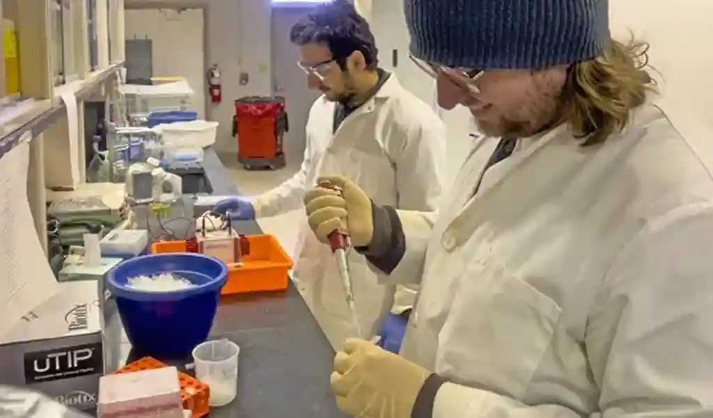 Department of Environmental Toxicology