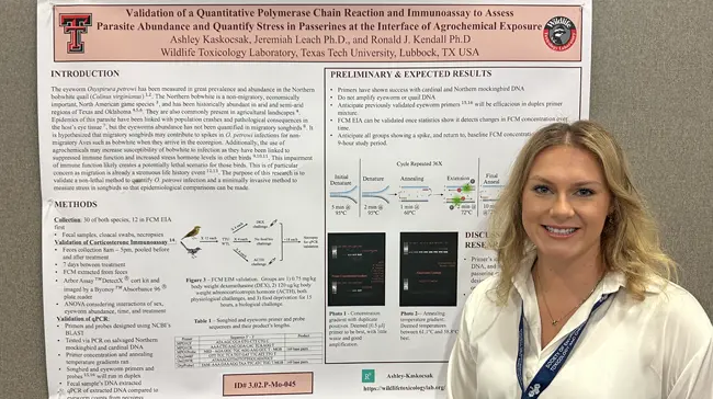 A environmental toxicology student presenting a wildlife toxicology study.