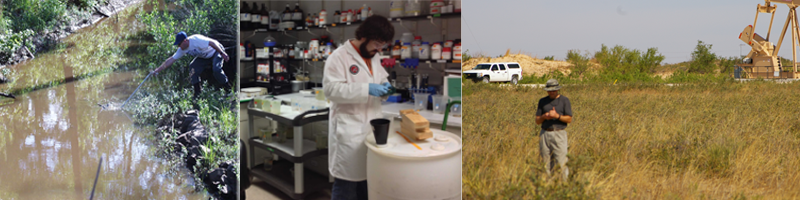Analytical Toxicology and Environmental Chemistry