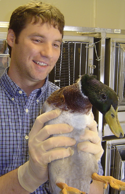Texas Tech university Department of Environmental Toxicology, Scientist with a Duck