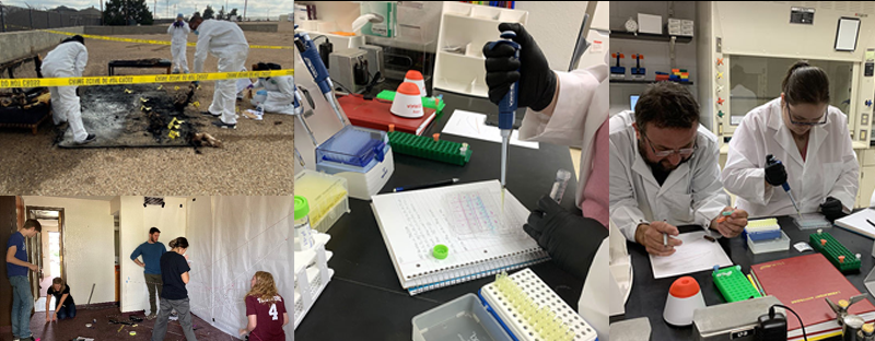Forensic Biology