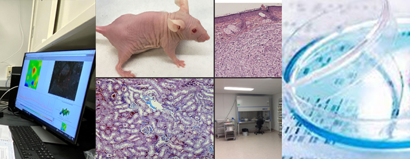 Human Health Sciences