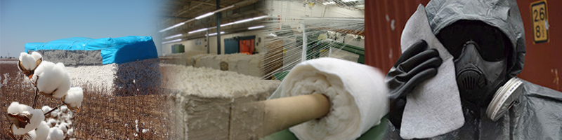 Sustainability and Advanced Materials Laboratory