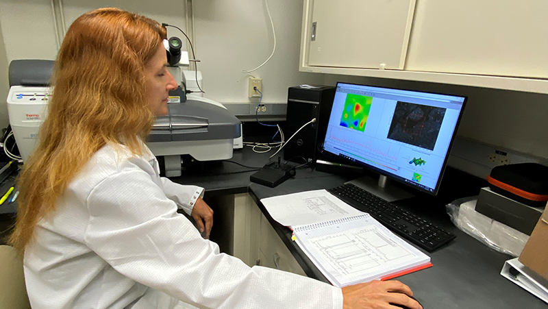 Texas Tech university Department of Environmental Toxicology, Lenka Halamkova