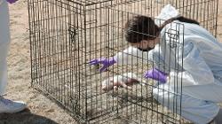 Forensic Science Outdoor Field Study