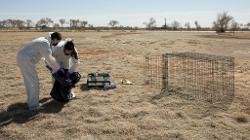 Forensic Science Outdoor Field Study