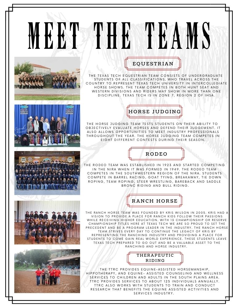 Meet the team