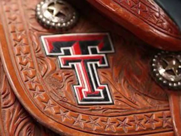 Tech-Tech logo on Saddle