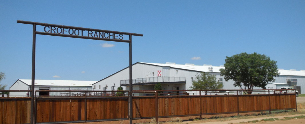 Crofoot Ranches