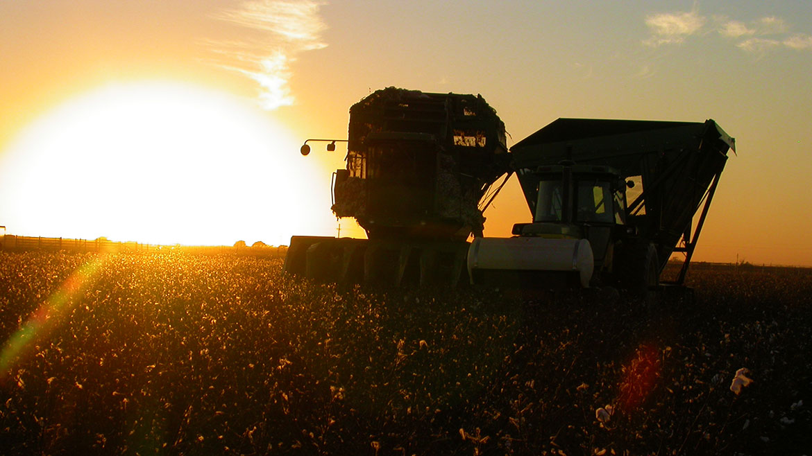 TeCSIS program history