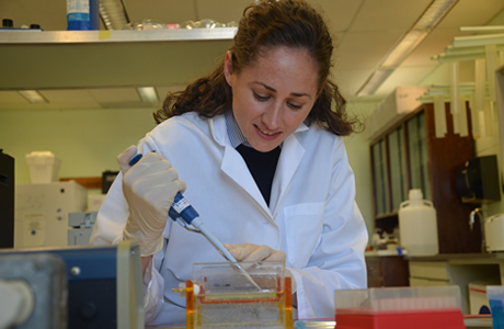 Molly M. McDonough-Department of Biological Sciences