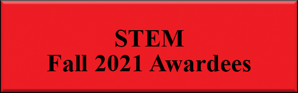 STEM Awardees