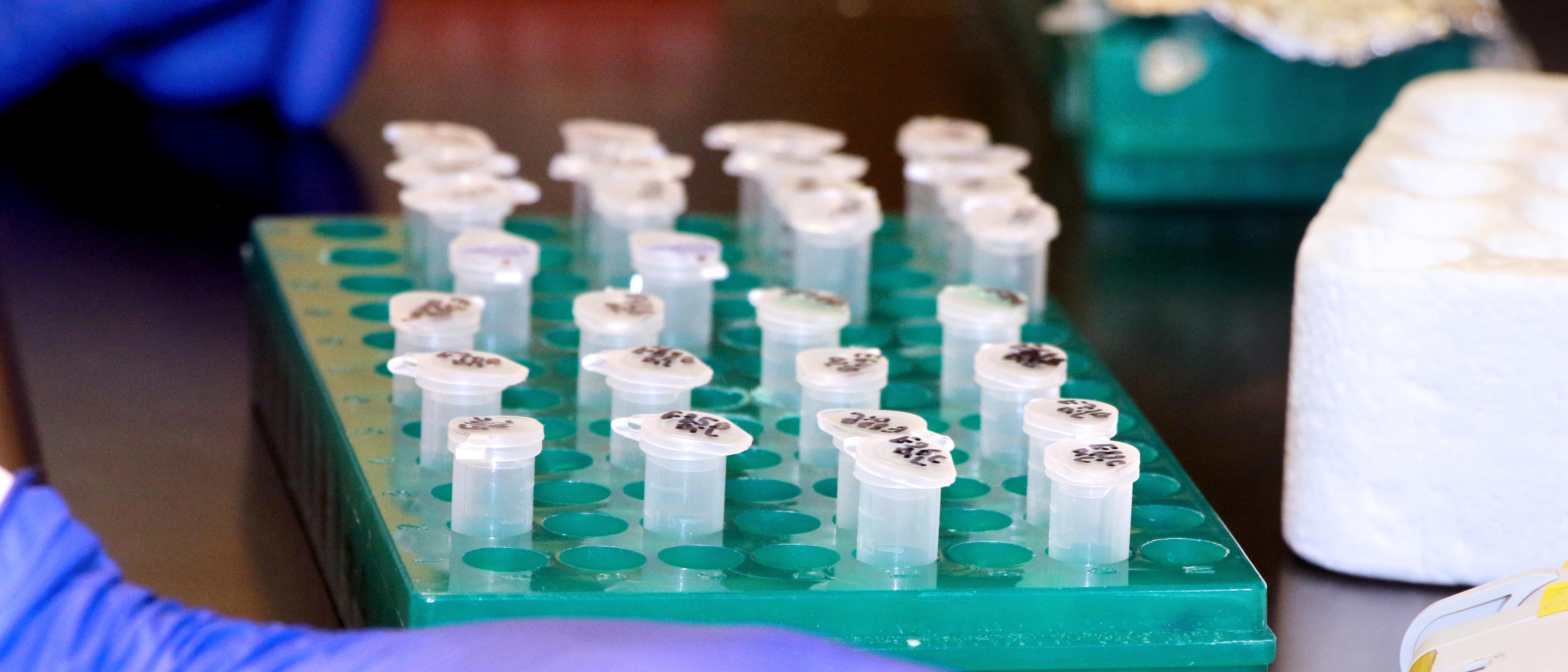 Biotechnology
