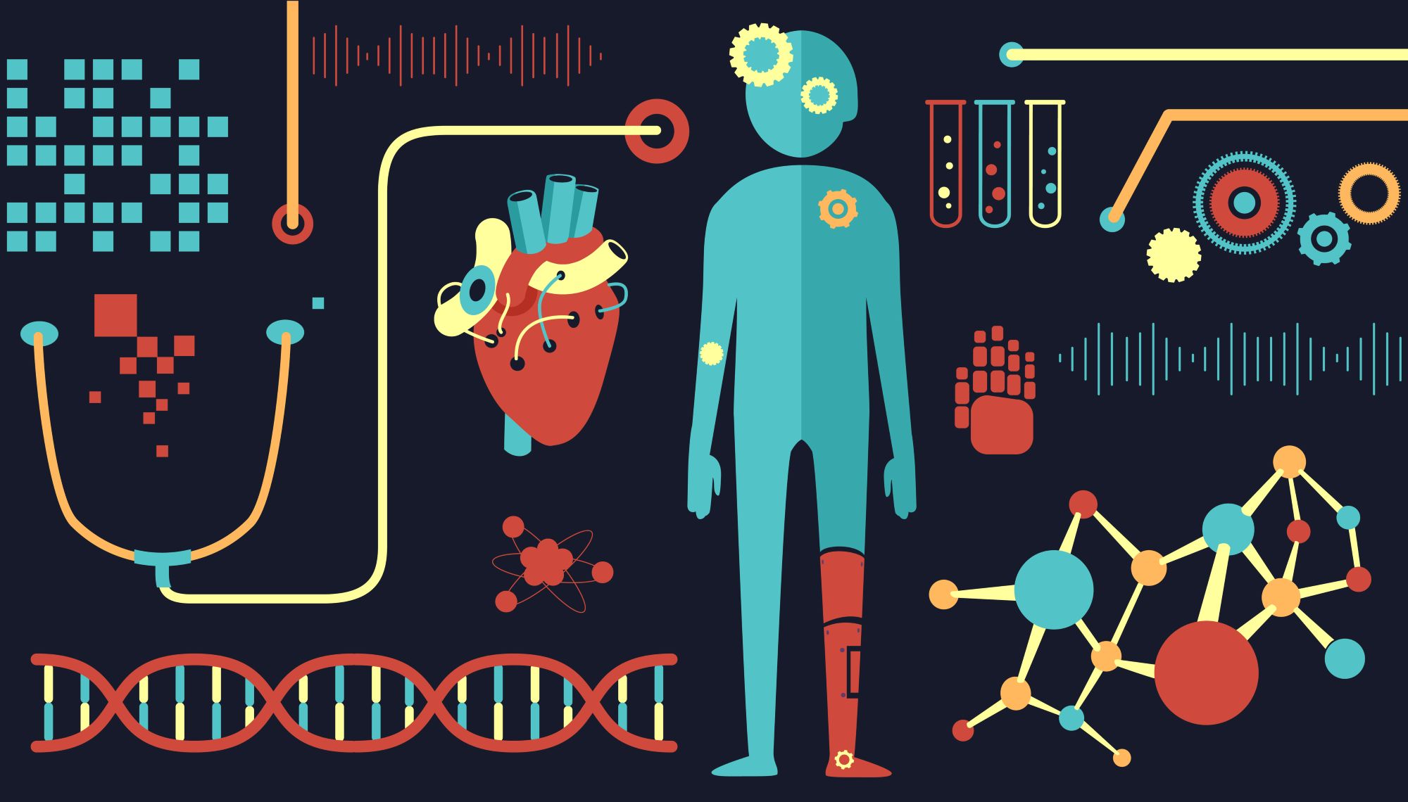 ttu grad school inds interdisciplinary master of science in bioengineering