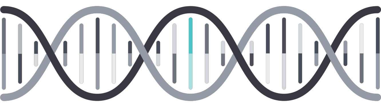 ttu grad school inds interdisciplinary master of science in bioengineering program