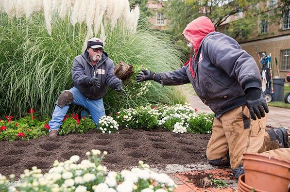 Grounds Maintenance | Grounds Maintenance | TTU