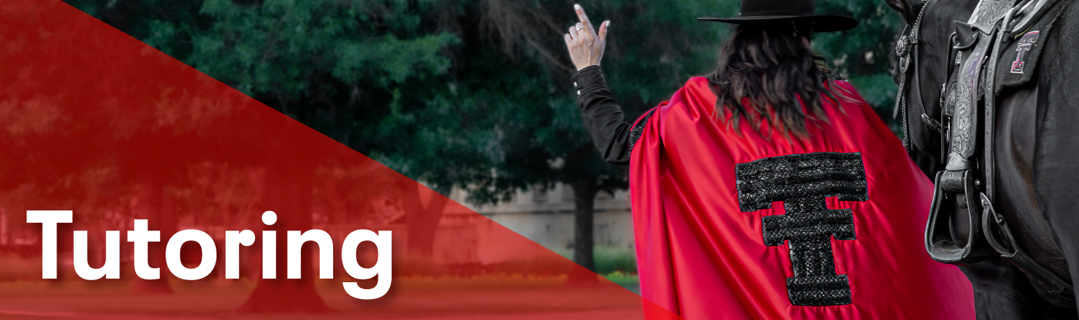 web banner for tutoring and the masked rider