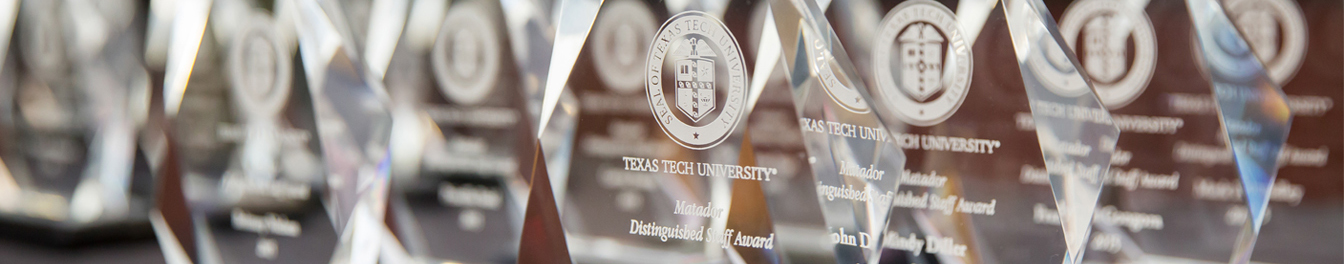 Image: Closeup photograph of the Distinguished Staff Awards