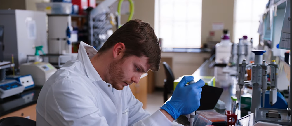 Nutritional Sciences overview video