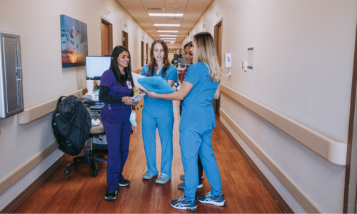 Human Sciences and Family and Consumer Sciences Education Major Texas Tech Request Info