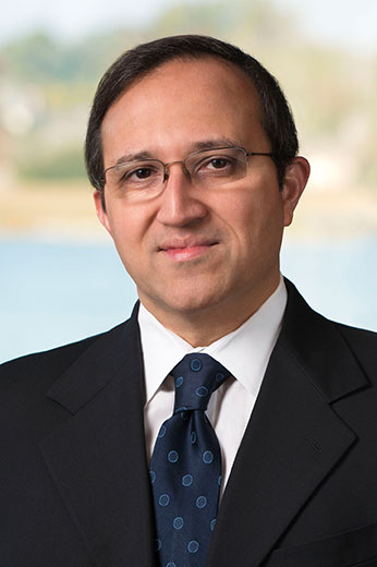 Nikhil V. Dhurandhar, Ph.D., Professor and Chair