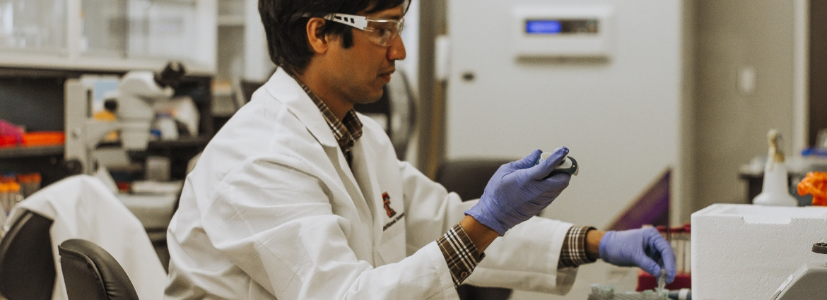 Nutritional Sciences Degree Texas Tech University Nutritional Sciences Degree Texas Tech University