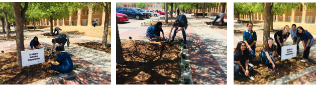 GNO Arbor Day 2018